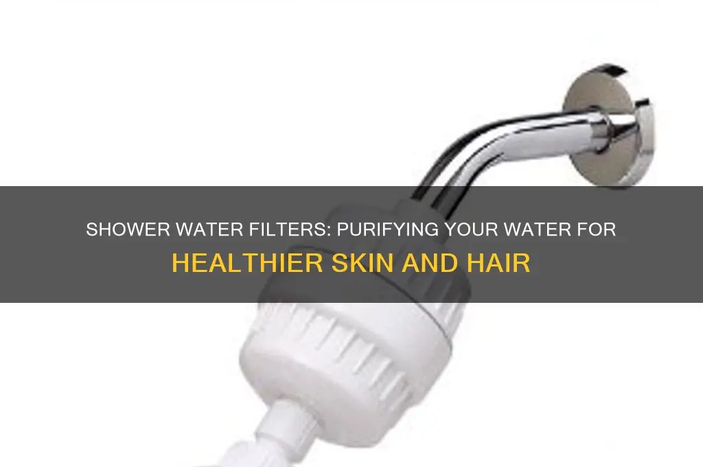 what does a shower water filter do