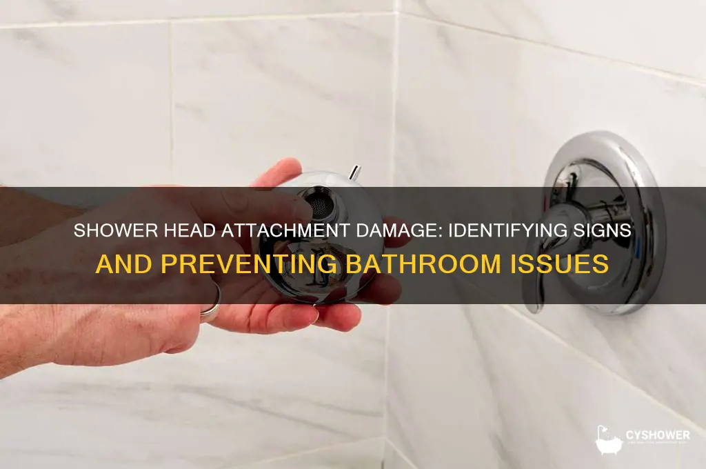 what does bathroom shower head attachment damage look like