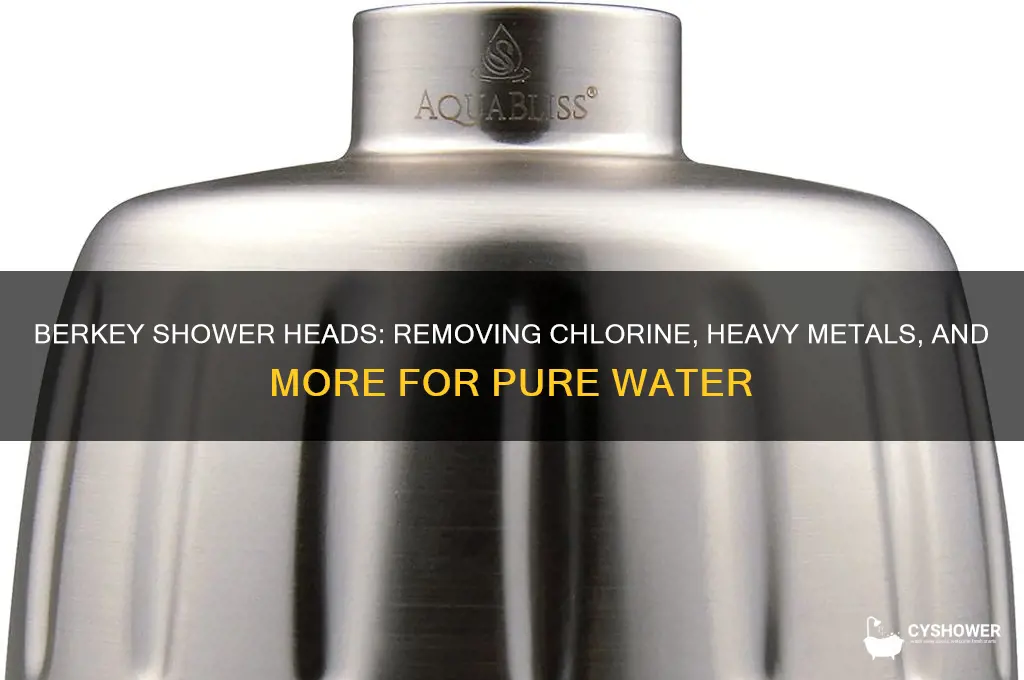 what does berkey shower heads remove