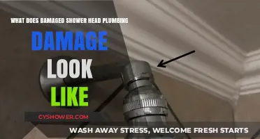 Identifying Damaged Shower Head Plumbing: Signs and Symptoms to Watch For