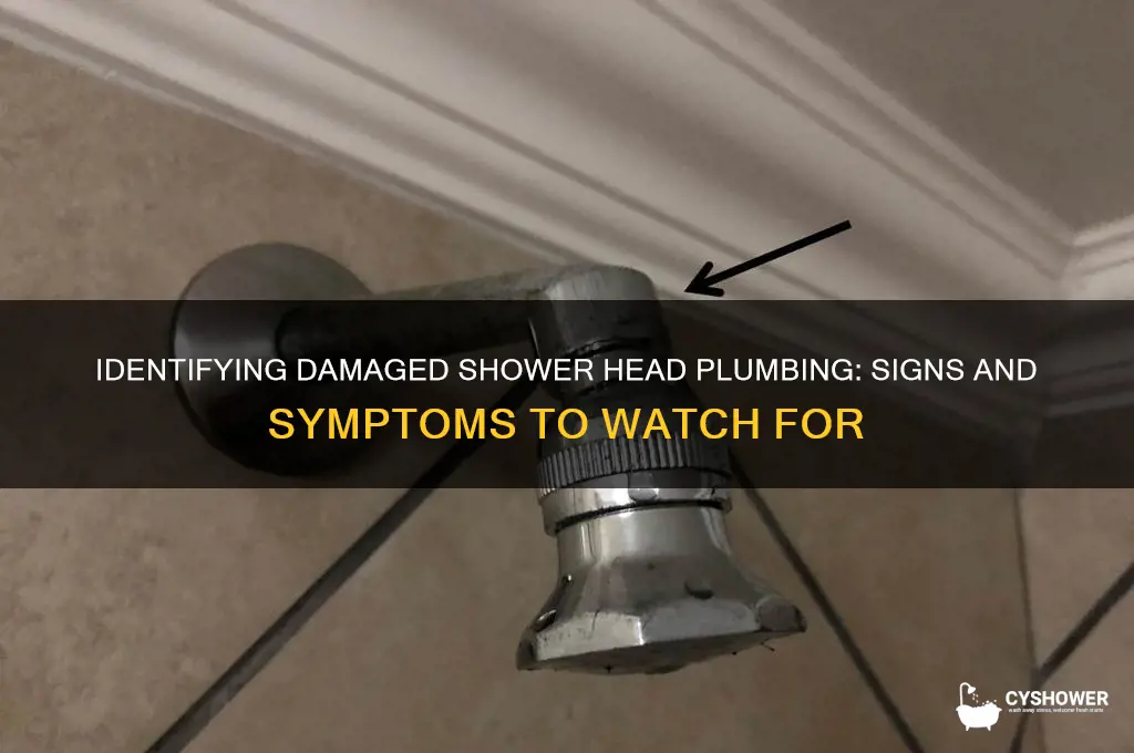 what does damaged shower head plumbing damage look like