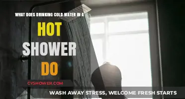 Cold Water in Hot Showers: Surprising Effects on Your Body and Mind