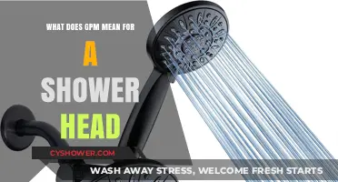 Understanding GPM: What Shower Head Flow Rate Means for You