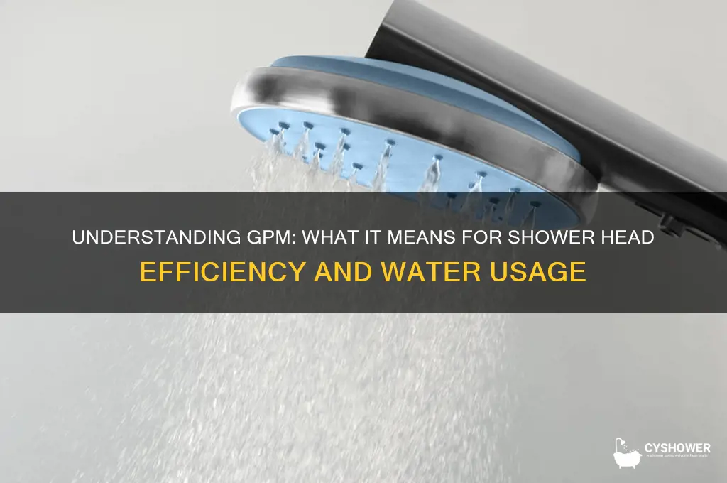 what does gpm mean for shower heads