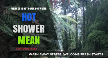 Hot Damn! Decoding the Meaning Behind Hot Water Showers
