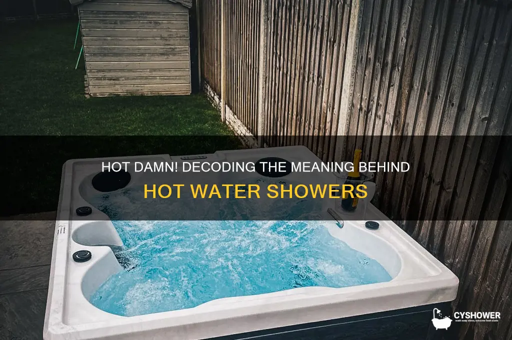 what does hot damn hot water hot shower mean