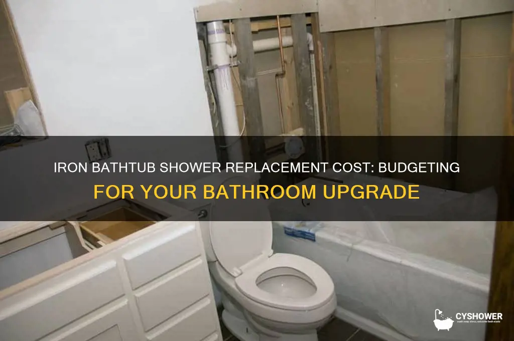 what does iron bathtub shower replacement cost
