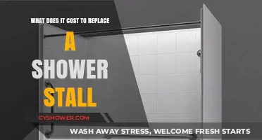 Shower Stall Replacement Costs: Budgeting for Your Bathroom Upgrade