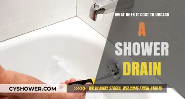 Unclogging Shower Drains: Costs, DIY Fixes, and Professional Services Explained