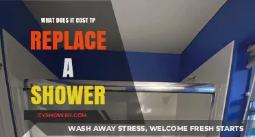 Shower Replacement Costs: What to Expect and How to Budget