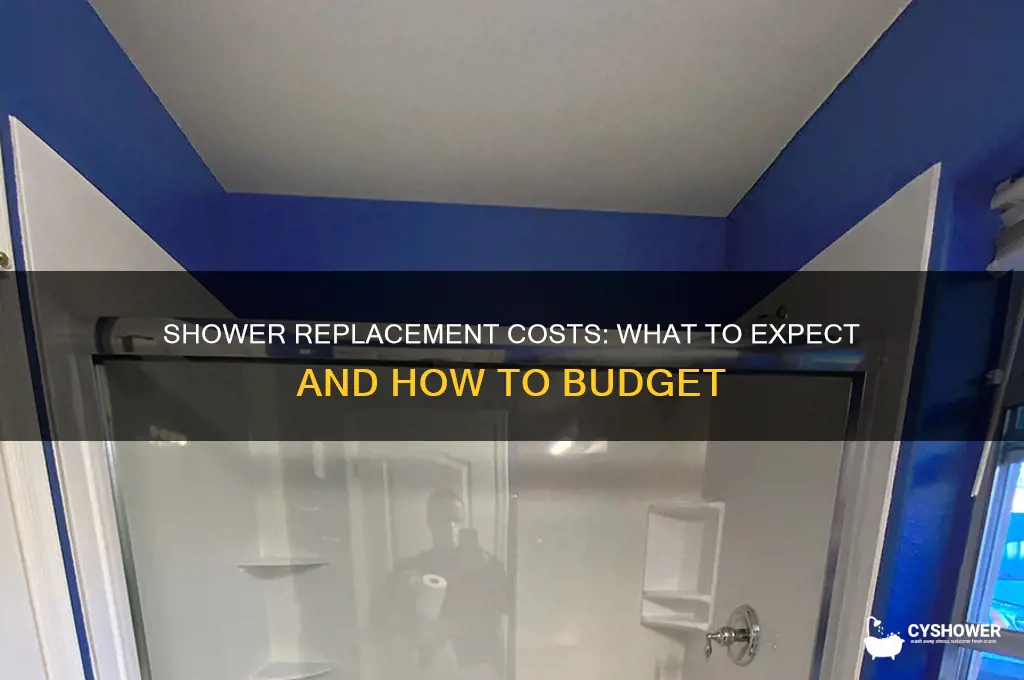 what does it cost tp replace a shower
