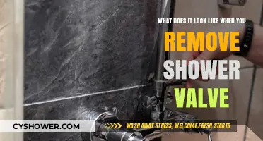 Removing a Shower Valve: What to Expect During the Process