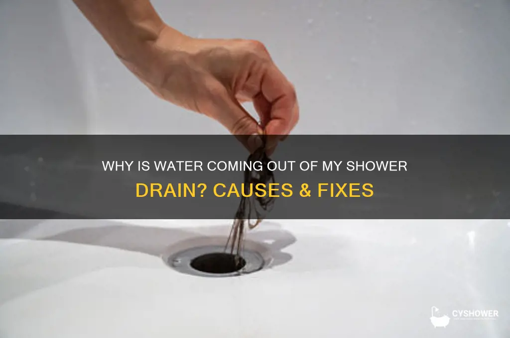 what does it mean water coming out a shower drain