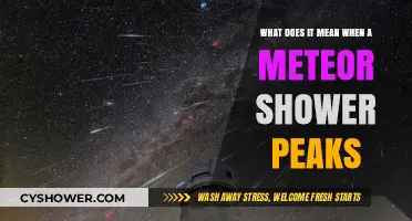 Understanding the Peak of Meteor Showers: A Celestial Spectacle Explained