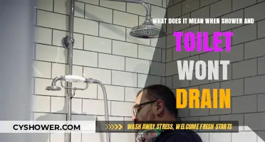 Shower and Toilet Not Draining? Causes and Quick Fixes Explained