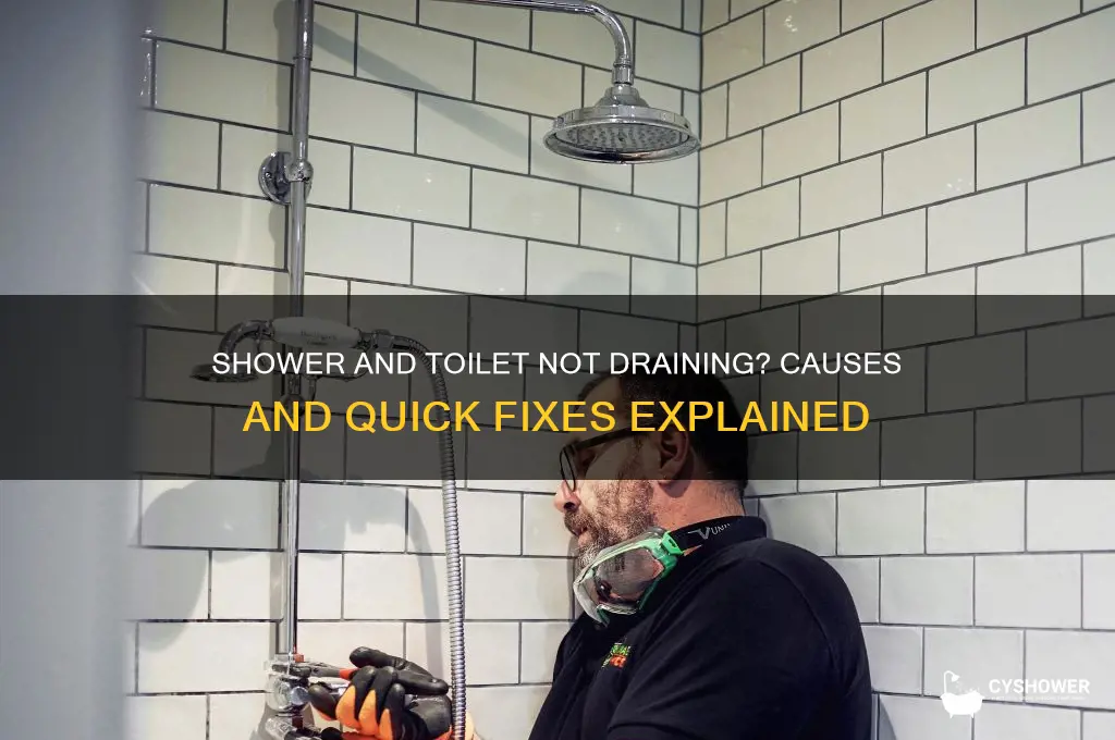 what does it mean when shower and toilet wont drain
