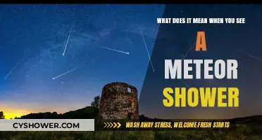 Understanding the Celestial Spectacle: What Meteor Showers Signify
