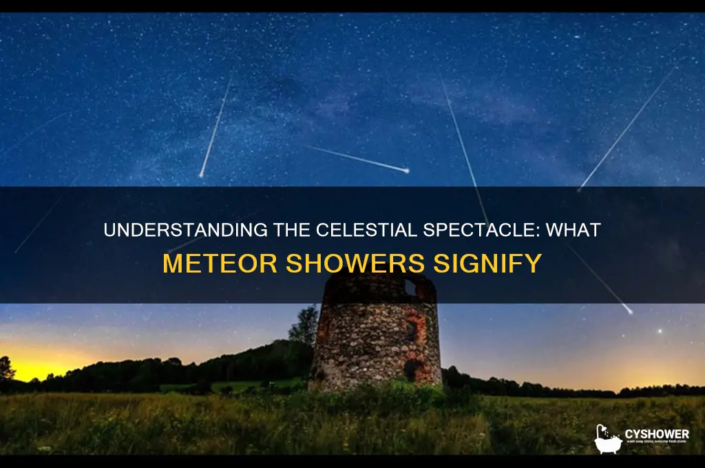 what does it mean when you see a meteor shower
