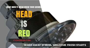 Why Is Your Shower Head Red? Causes and Solutions Explained