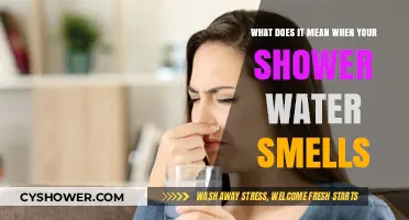 Why Does My Shower Water Smell? Causes and Solutions Explained