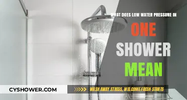 Why Is My Shower's Water Pressure Low? Common Causes Explained