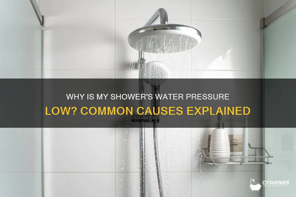 what does low water pressure in one shower mean
