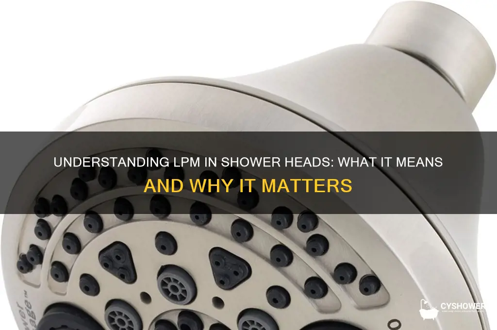 what does lpm mean in shower heads