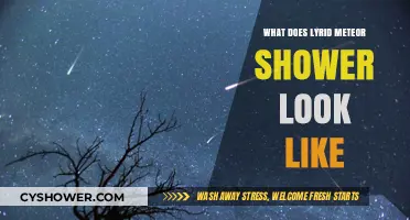 Lyrid Meteor Shower: A Celestial Spectacle of Streaking Lights Explained