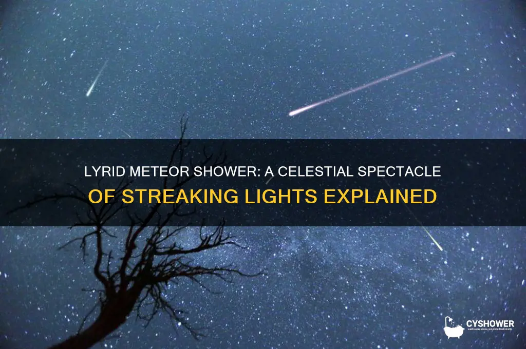 what does lyrid meteor shower look like