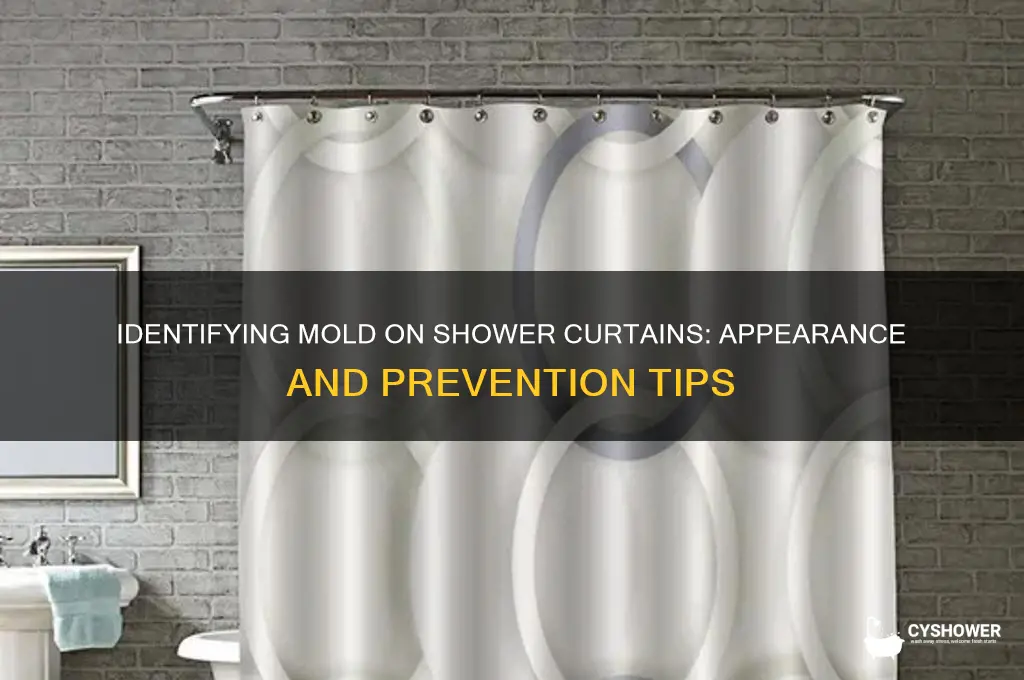 what does mold on a shower curtain look like