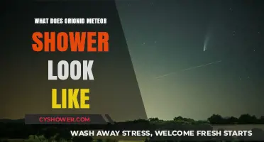 Stunning Orionid Meteor Shower: Visual Guide to Its Celestial Display