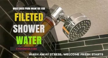 Park MGM's Innovative Use for Filtered Shower Water: Eco-Friendly Solutions