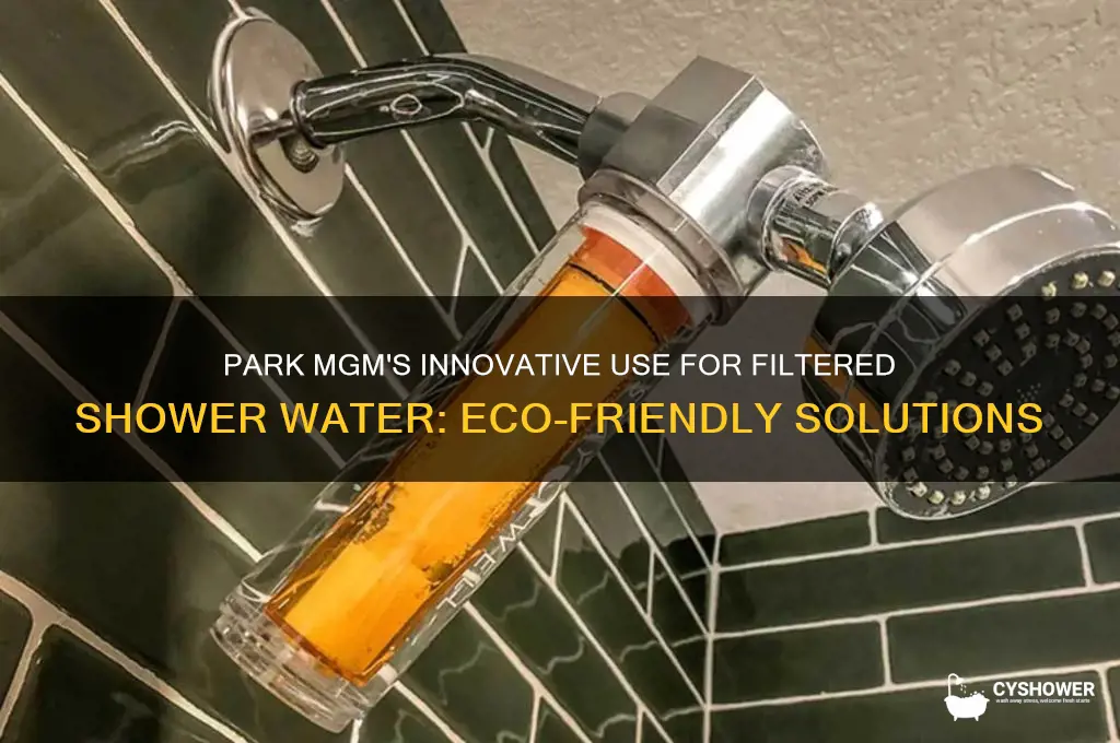what does park mgm ise for fileted shower water