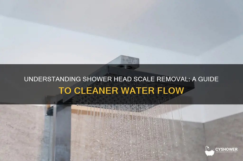what does removal of scale mean on shower head