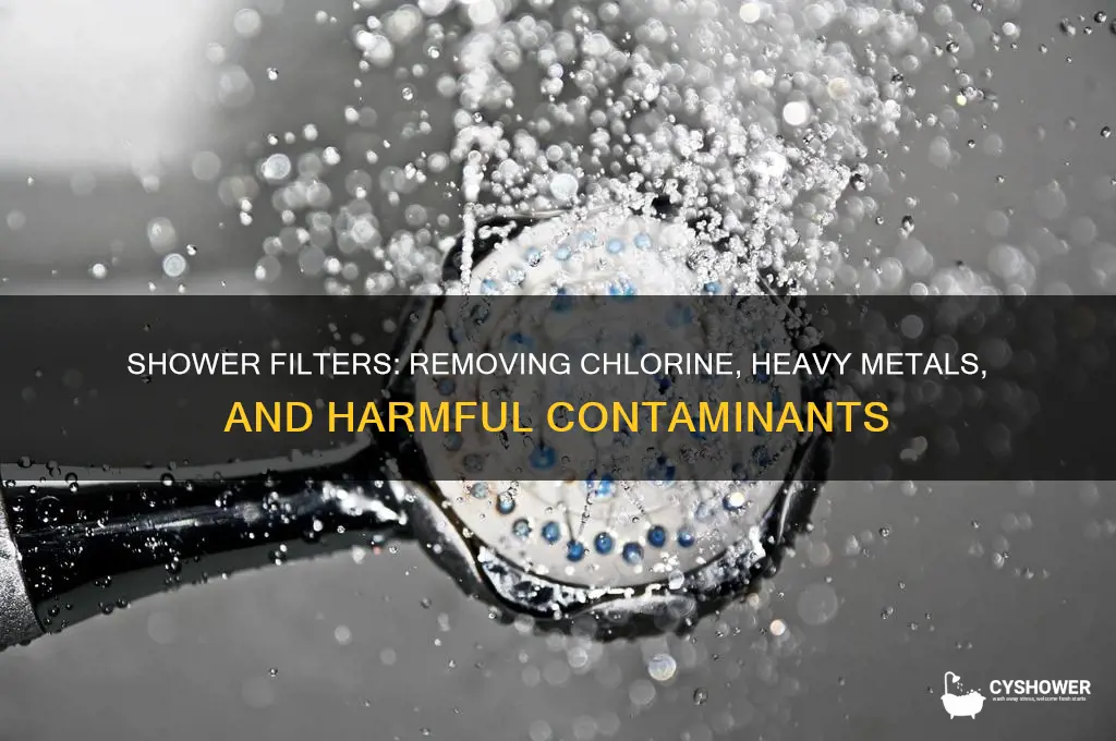 what does shower filters get rid of