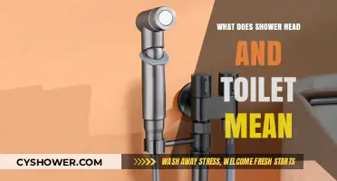 Decoding Bathroom Lingo: Understanding Shower Head and Toilet Meanings
