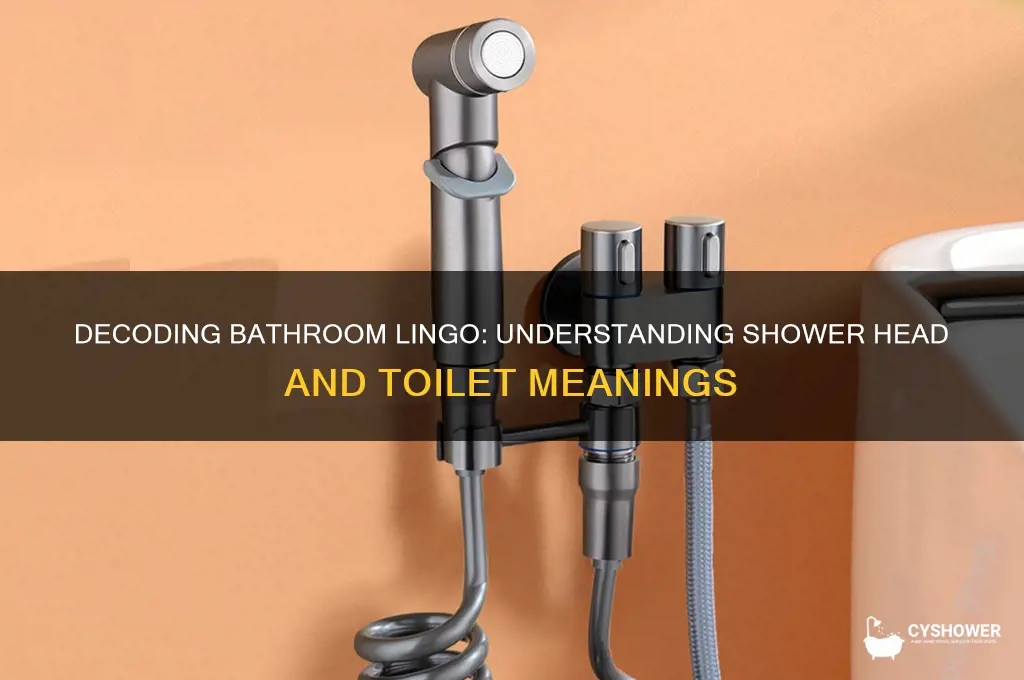 what does shower head and toilet mean