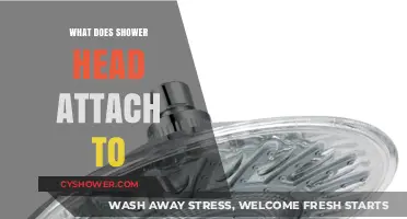 Understanding Shower Head Attachments: What Does It Connect To?