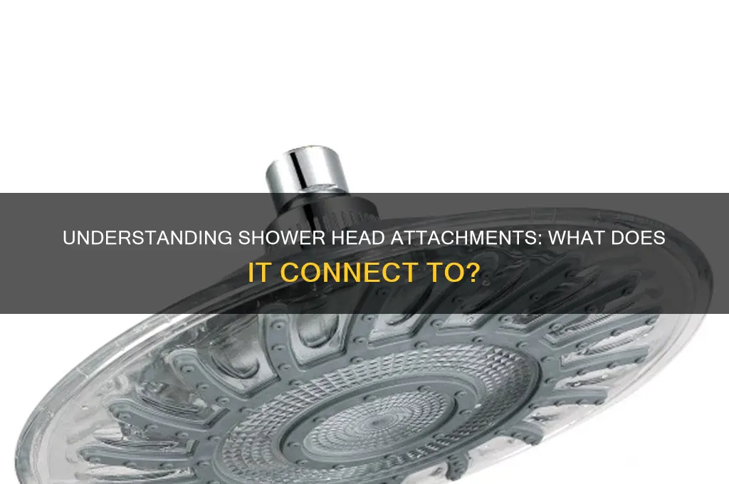 what does shower head attach to