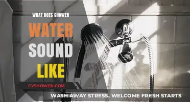 Exploring the Soothing Symphony: What Does Shower Water Sound Like?