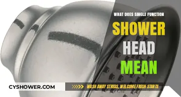 Understanding Single Function Shower Heads: A Simple Guide to Basics
