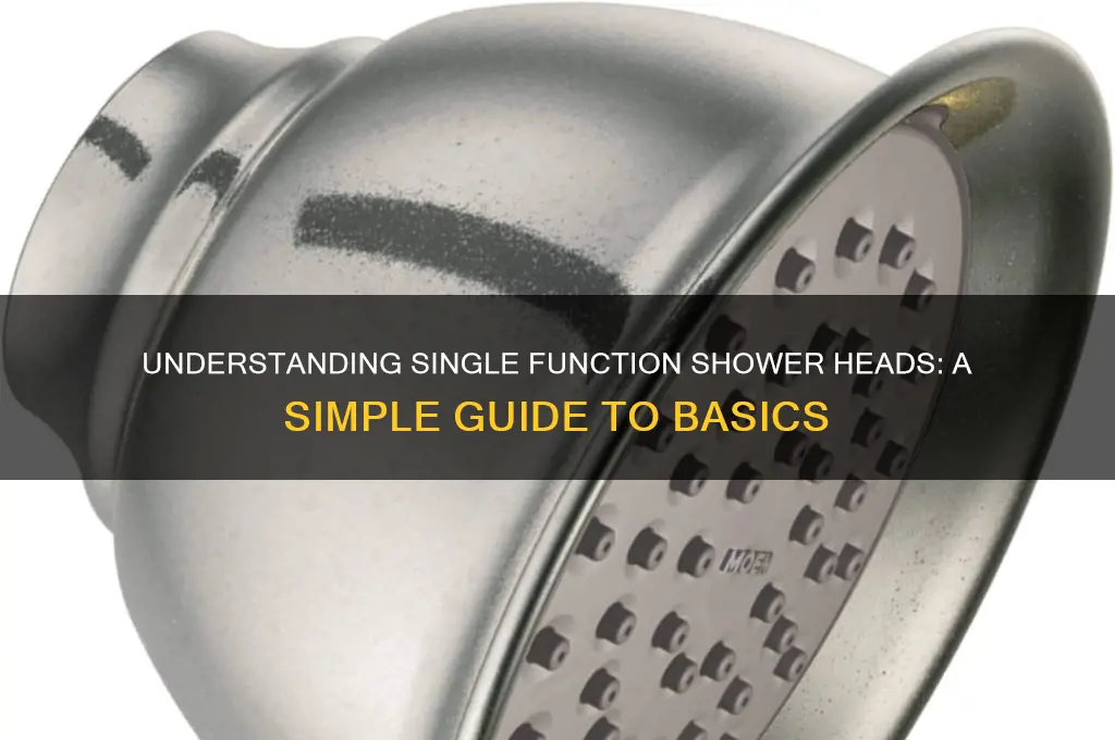 what does single function shower head mean
