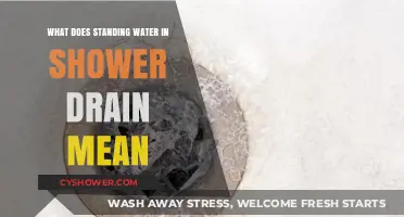 Standing Water in Shower Drain: Causes, Risks, and Quick Fixes