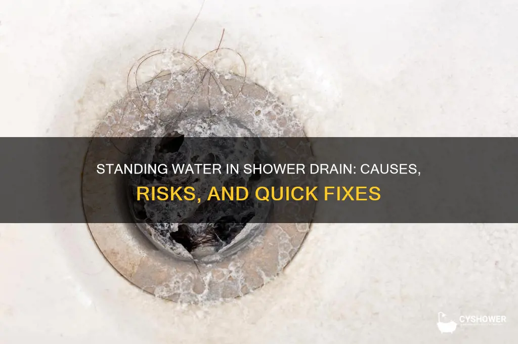 what does standing water in shower drain mean