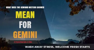 Geminid Meteor Shower: Cosmic Connection and Significance for Gemini