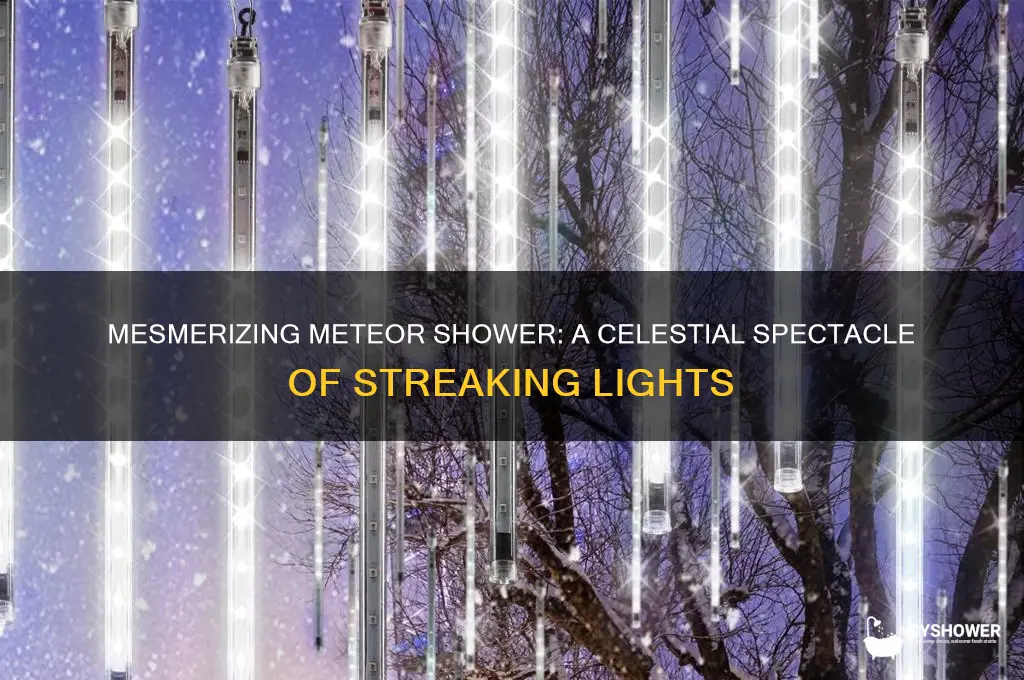 what does the meteor shower look like