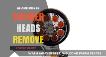 Vitamin C Shower Heads: Removing Chlorine and Enhancing Skin Health