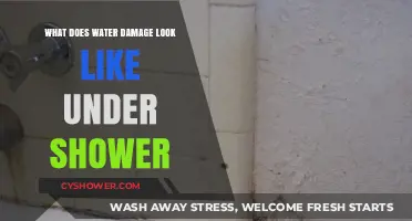 Identifying Hidden Water Damage Under Your Shower: Signs and Solutions