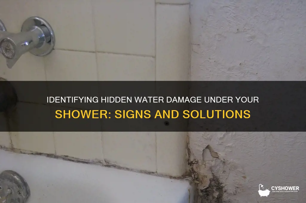 what does water damage look like under shower