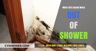 Effective Ways to Remove Black Mold from Your Shower
